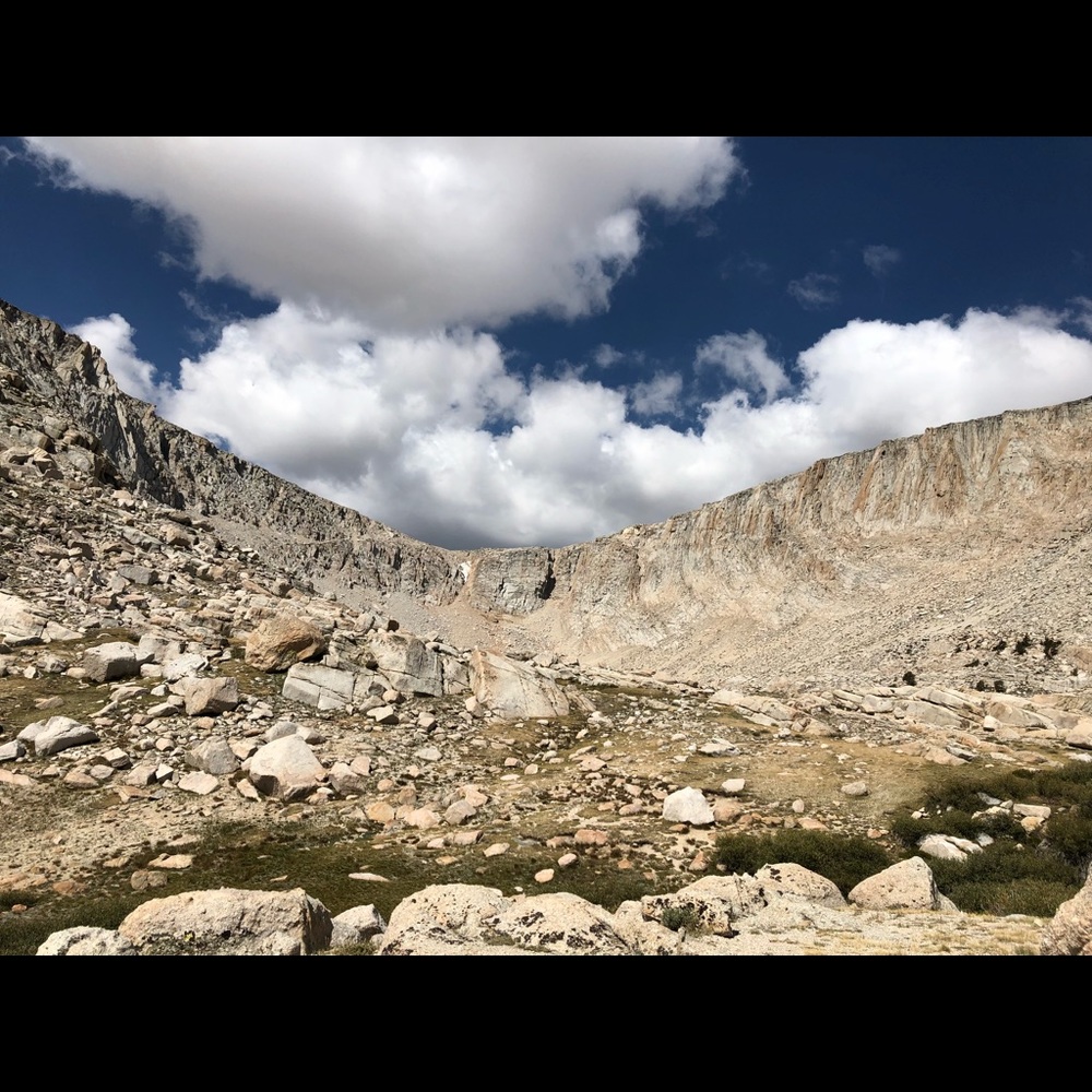 Meet your Posher, Bako